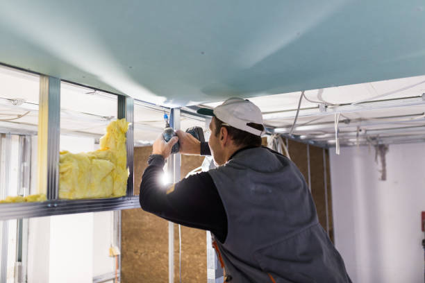 Best Geographic-Specific Insulation Services in Highland, IL